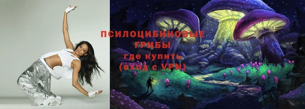 ПСИЛОЦИБИНОВЫЕ ГРИБЫ Куйбышев
