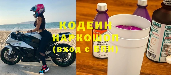 крисы Елабуга