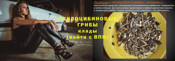 стаф Абинск