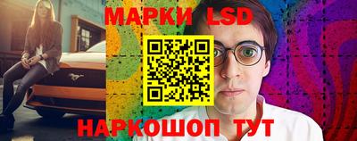 индика Жуковский