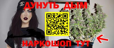 индика Жуковский
