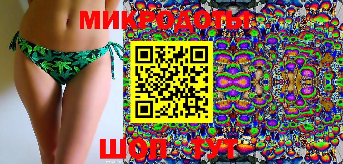 Псилоцибиновые грибы Psilocybe Оренбург