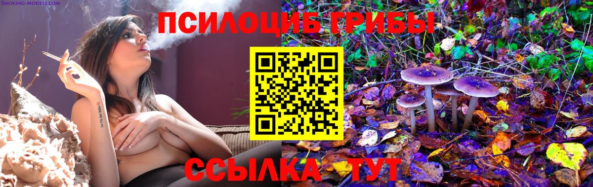 Галлюциногенные грибы Cubensis  наркотики  Оренбург  Псилоцибиновые грибы Cubensis  Вход с VPN 